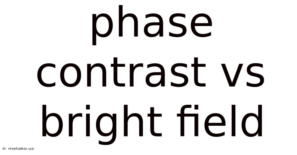 Phase Contrast Vs Bright Field