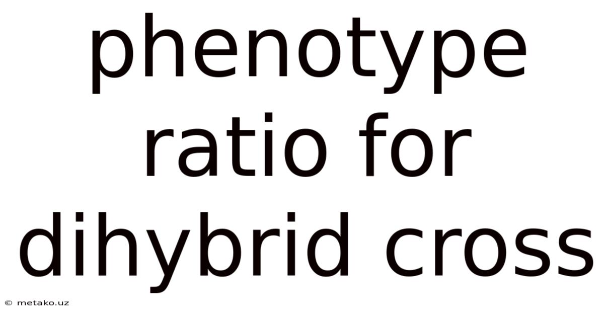 Phenotype Ratio For Dihybrid Cross