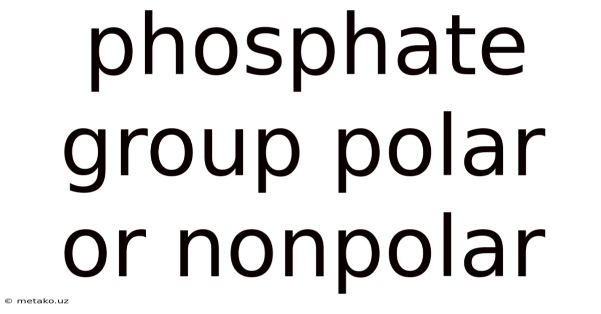 Phosphate Group Polar Or Nonpolar