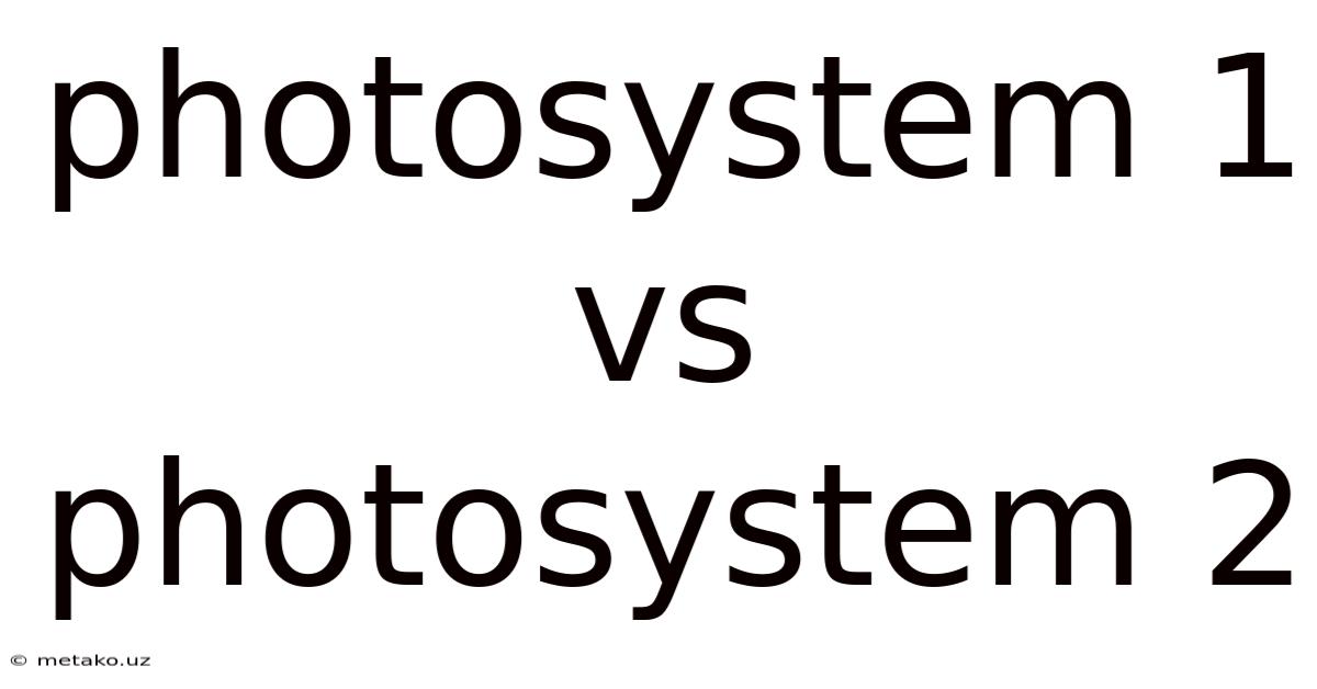 Photosystem 1 Vs Photosystem 2
