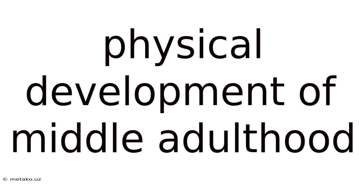 Physical Development Of Middle Adulthood