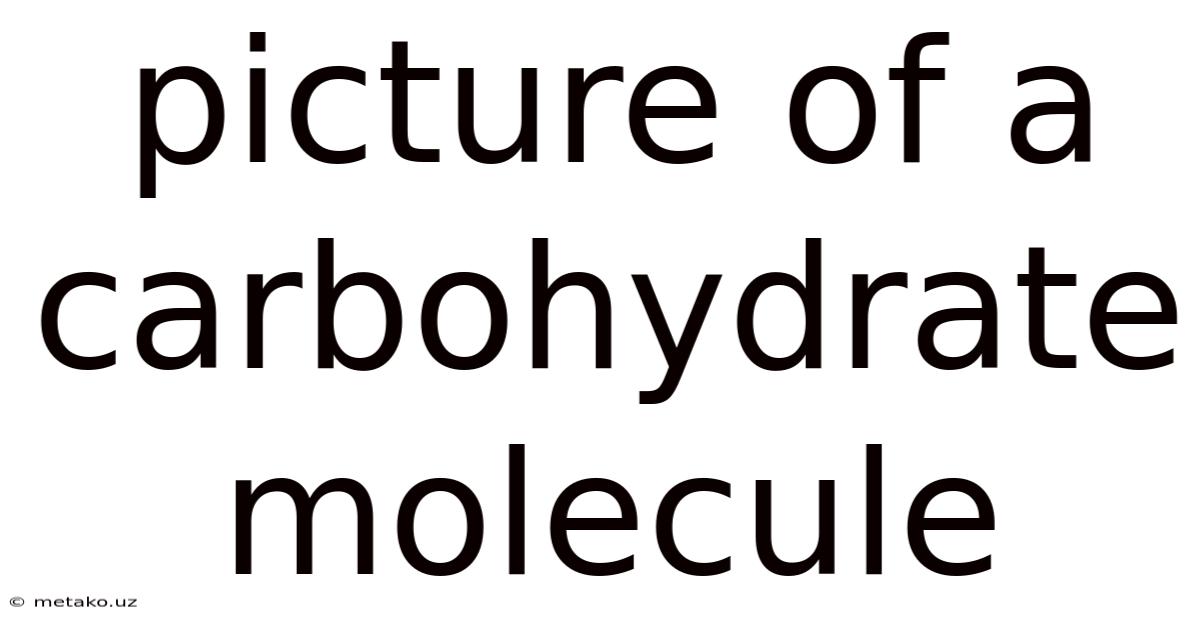 Picture Of A Carbohydrate Molecule