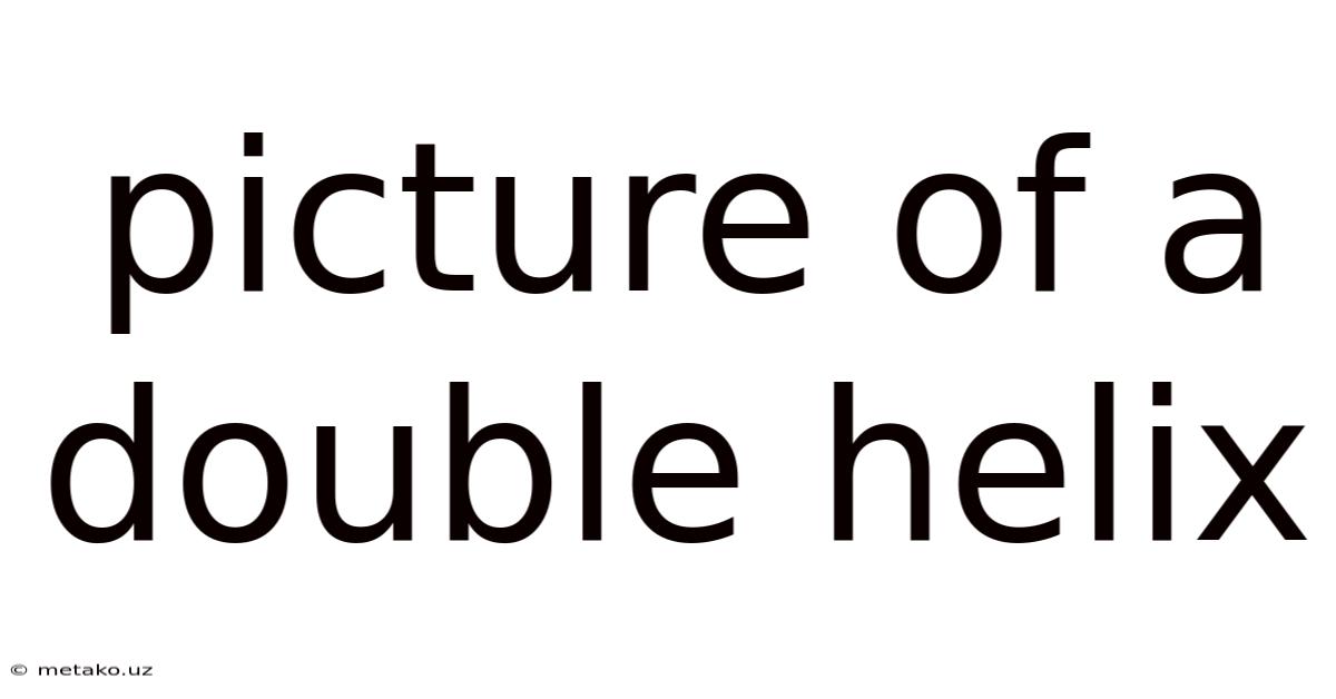 Picture Of A Double Helix