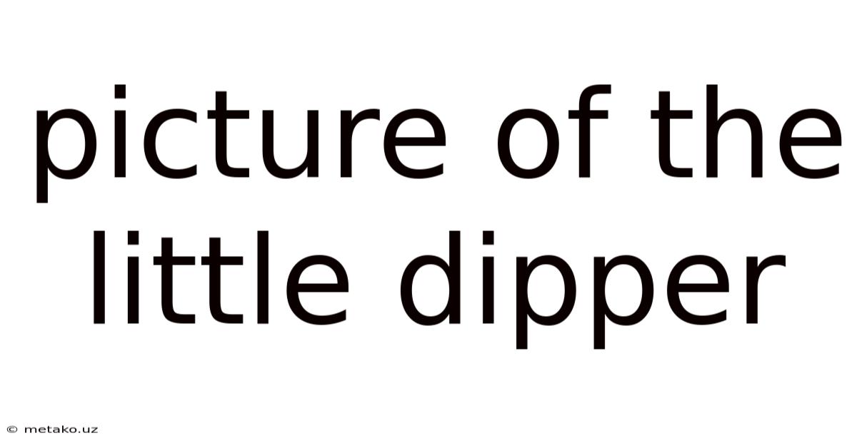 Picture Of The Little Dipper