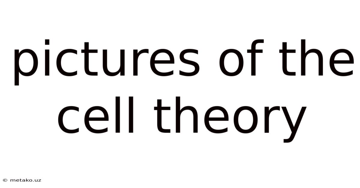 Pictures Of The Cell Theory