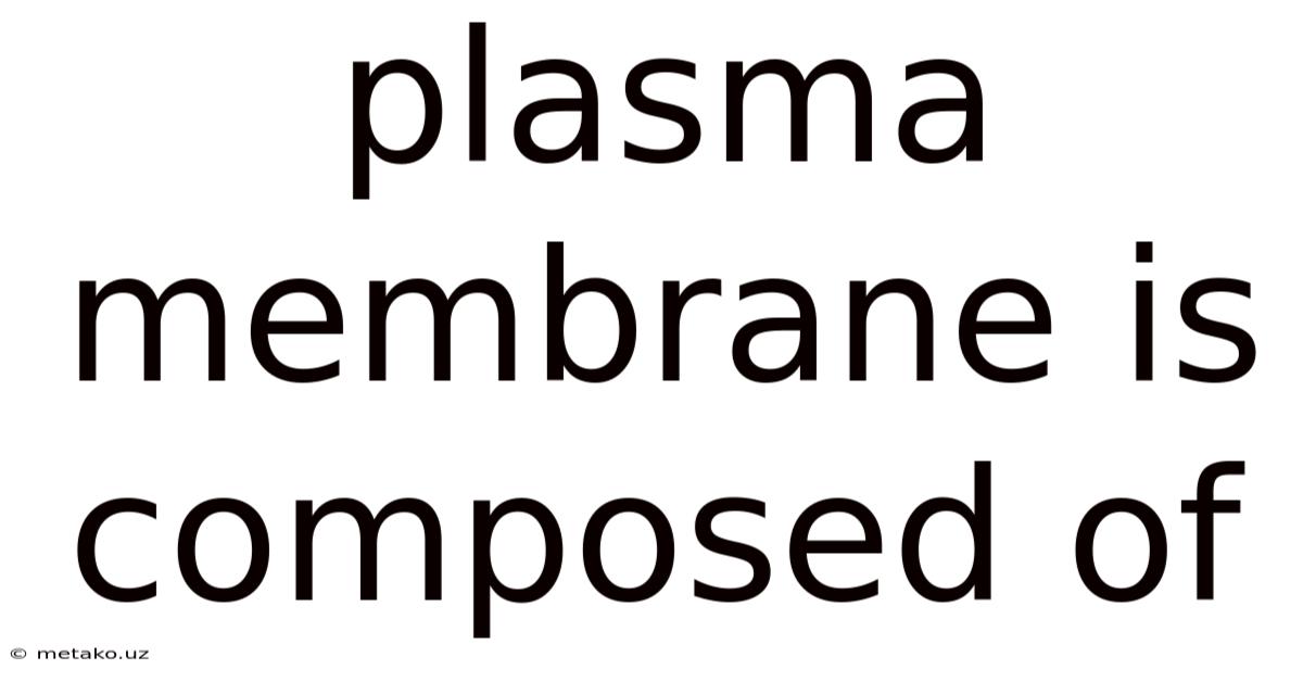 Plasma Membrane Is Composed Of