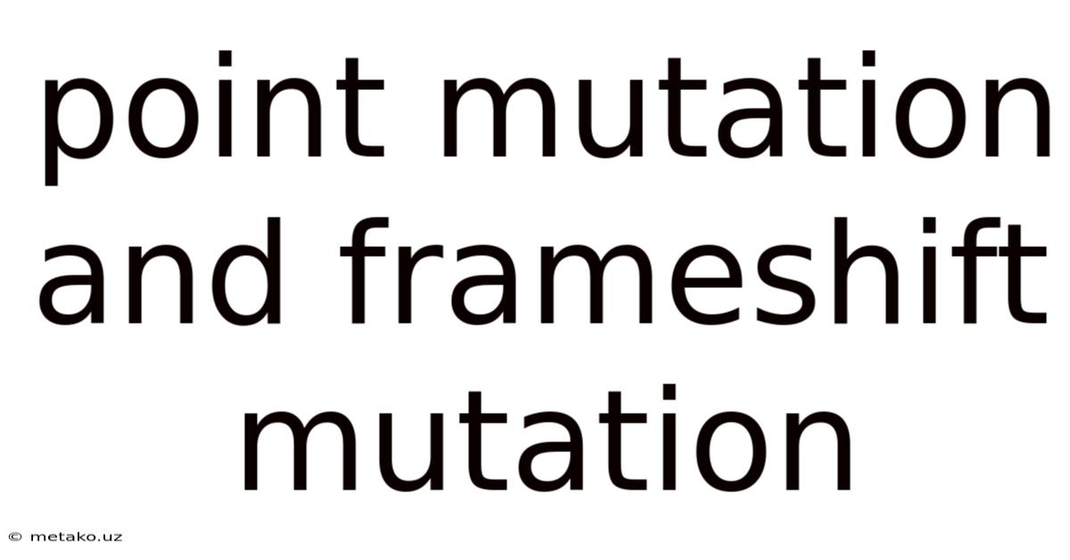 Point Mutation And Frameshift Mutation