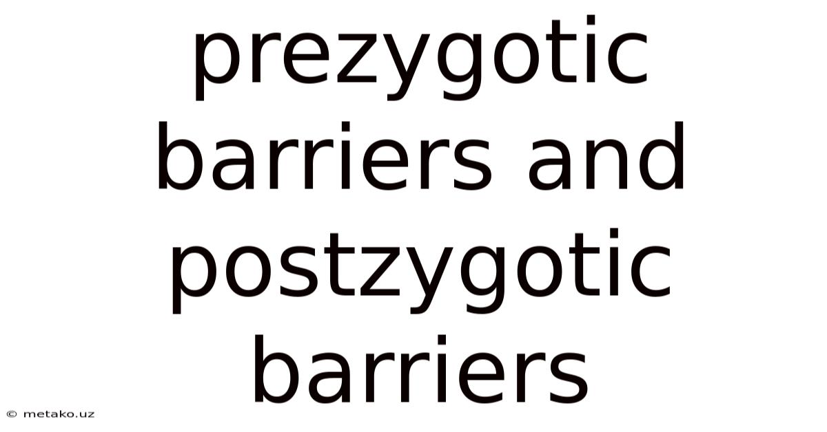 Prezygotic Barriers And Postzygotic Barriers