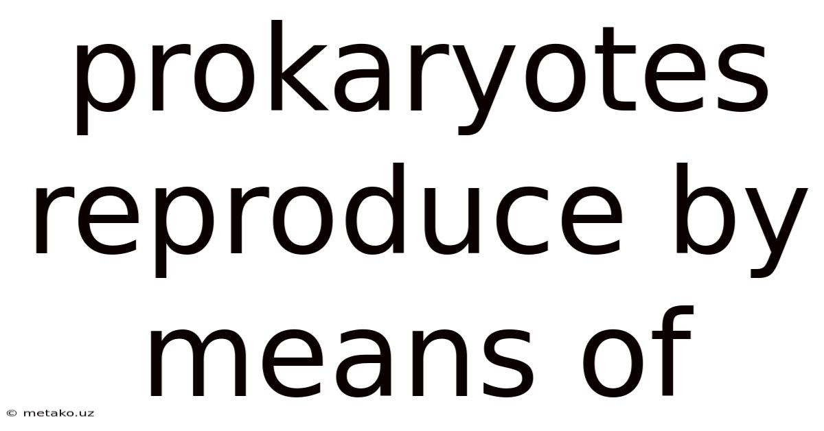 Prokaryotes Reproduce By Means Of