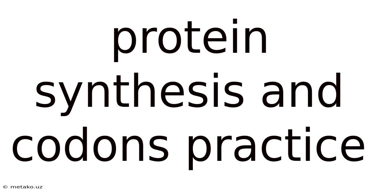 Protein Synthesis And Codons Practice