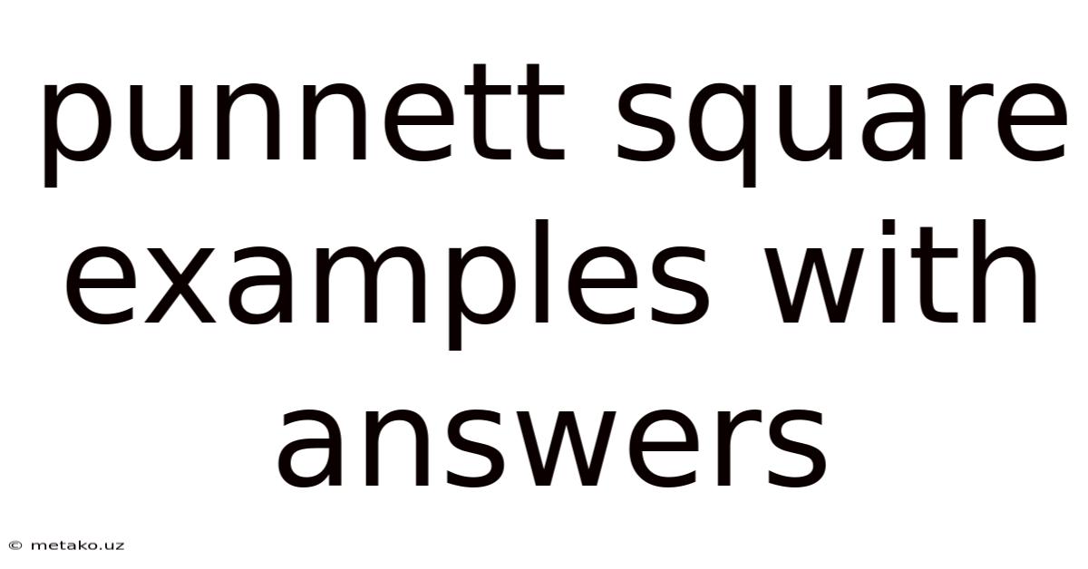 Punnett Square Examples With Answers