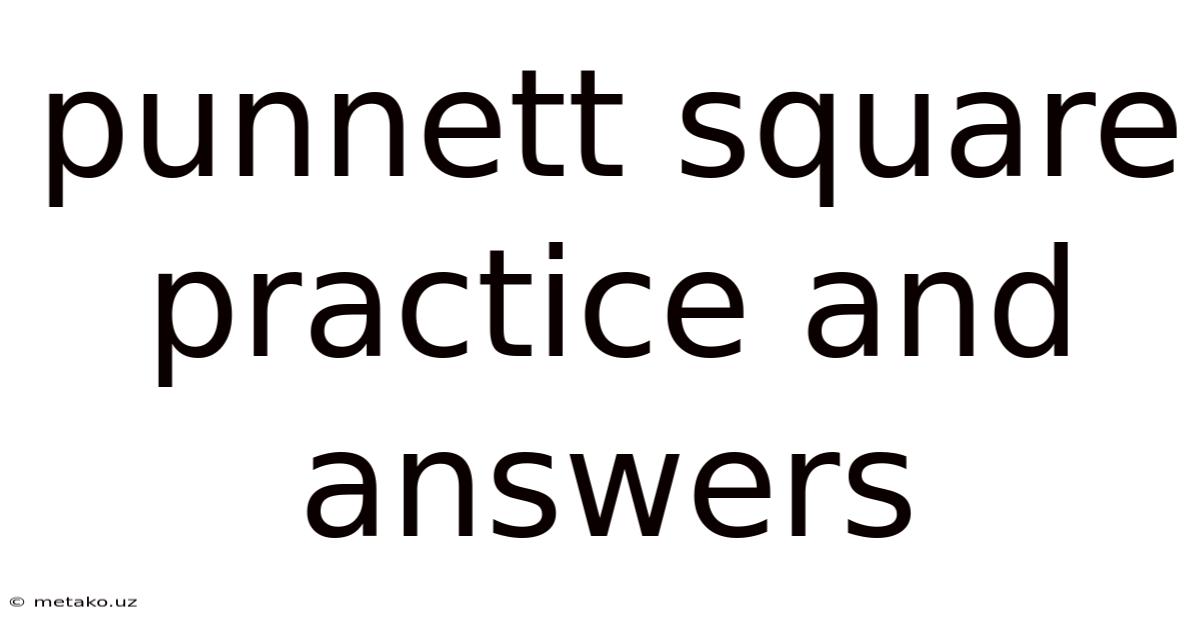 Punnett Square Practice And Answers