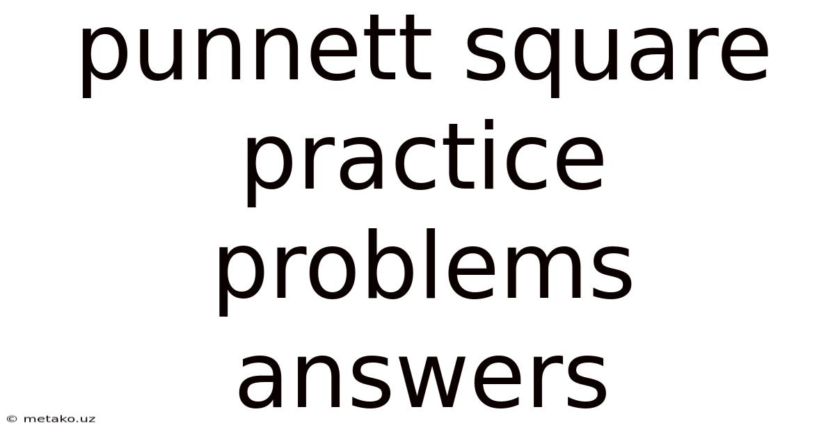 Punnett Square Practice Problems Answers