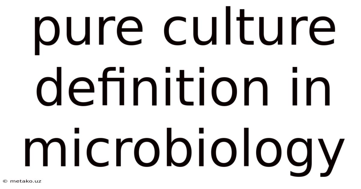 Pure Culture Definition In Microbiology