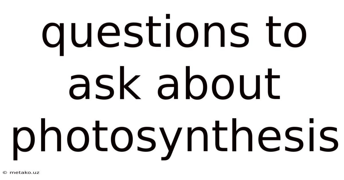 Questions To Ask About Photosynthesis