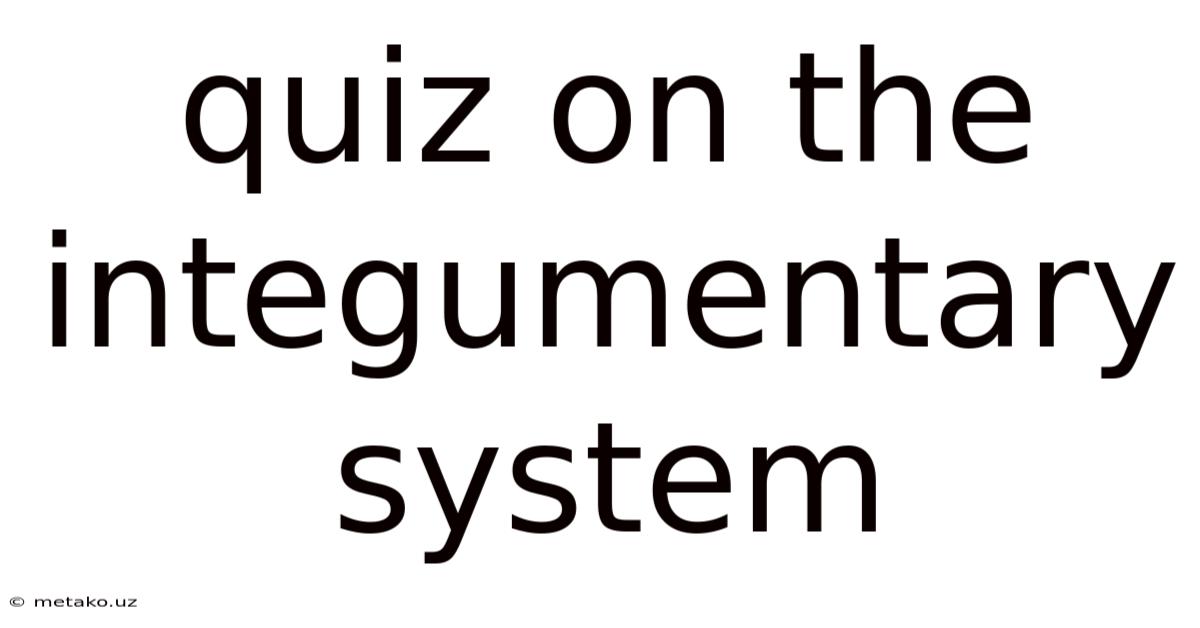 Quiz On The Integumentary System