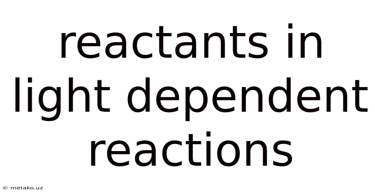 Reactants In Light Dependent Reactions