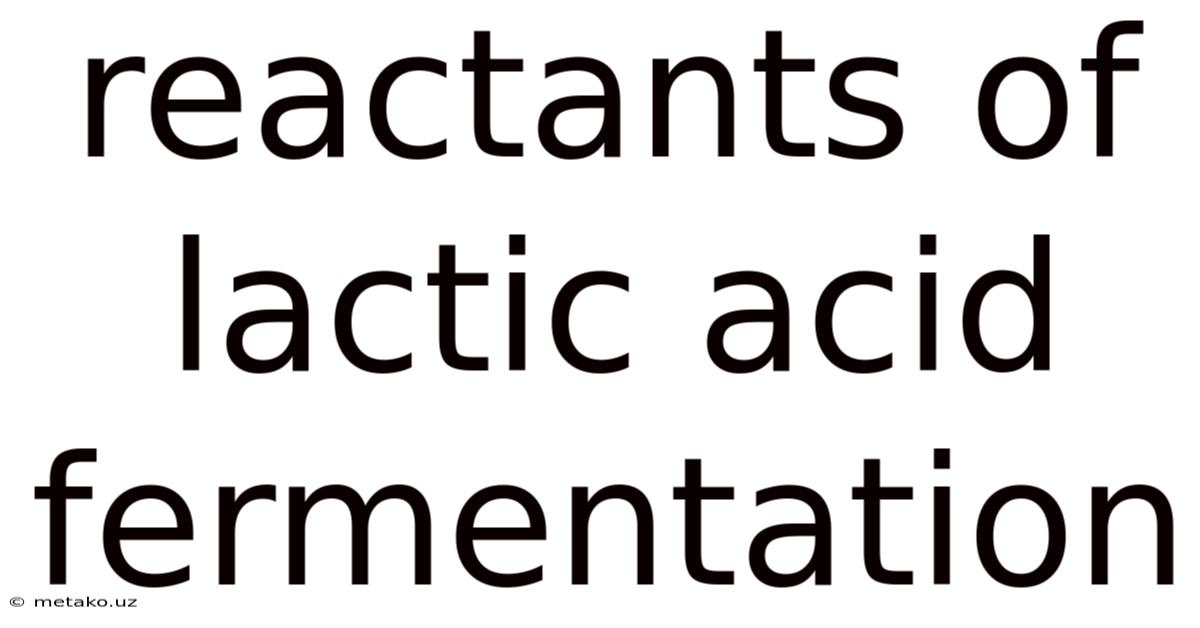 Reactants Of Lactic Acid Fermentation