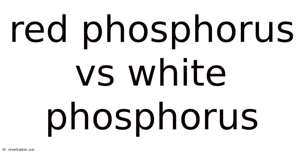 Red Phosphorus Vs White Phosphorus