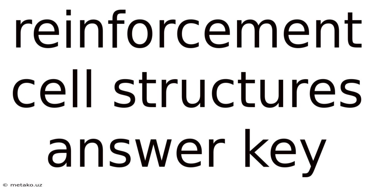 Reinforcement Cell Structures Answer Key