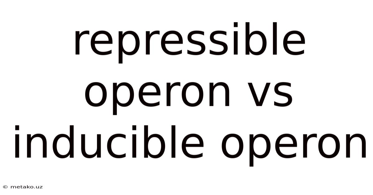 Repressible Operon Vs Inducible Operon