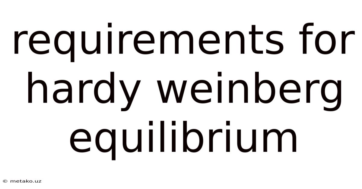 Requirements For Hardy Weinberg Equilibrium