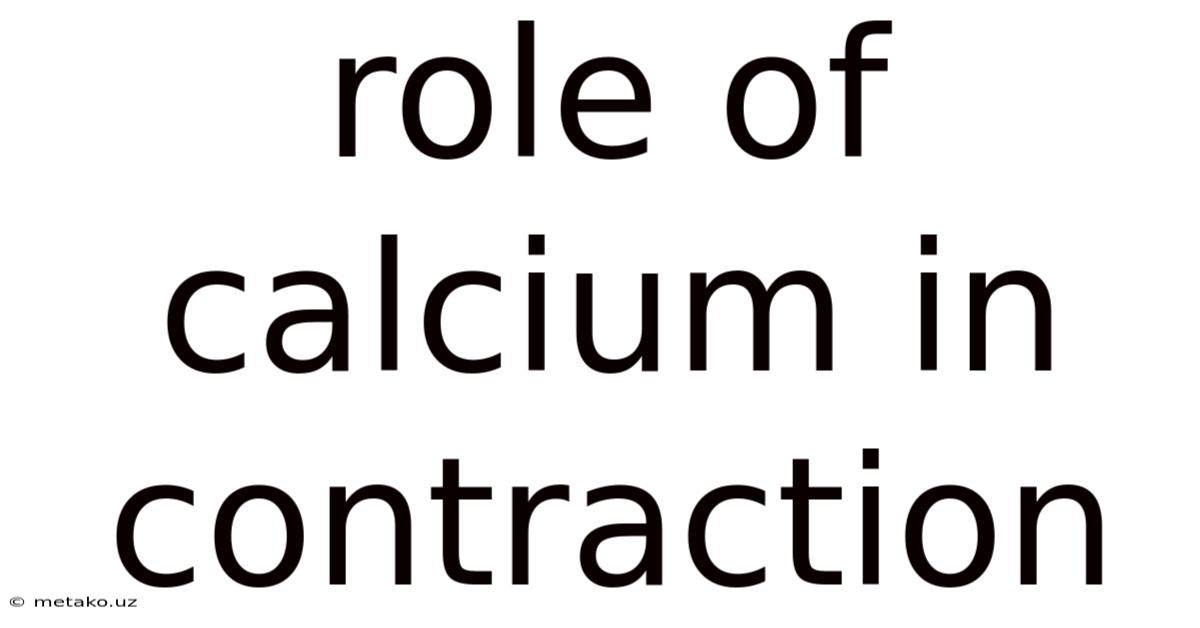 Role Of Calcium In Contraction