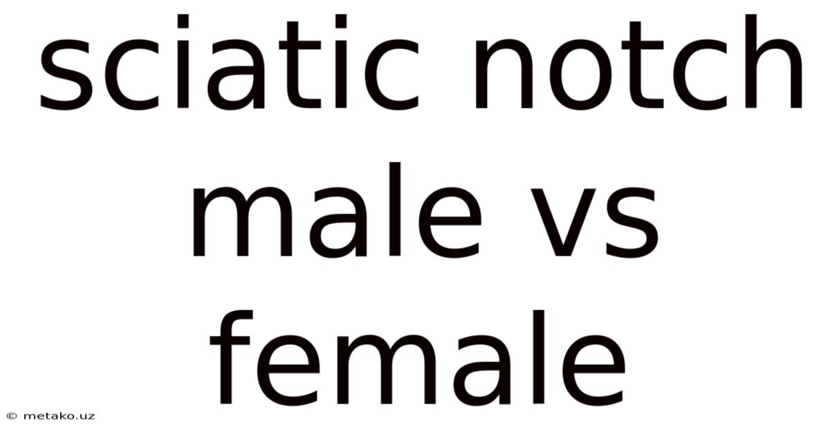 Sciatic Notch Male Vs Female