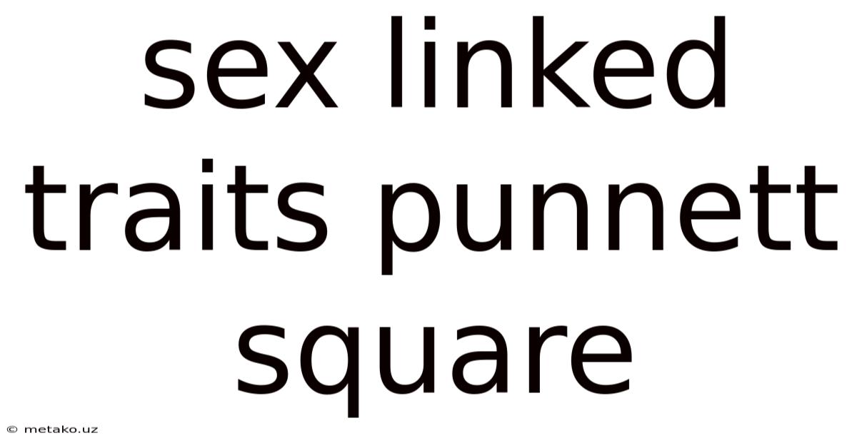 Sex Linked Traits Punnett Square