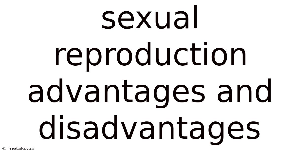 Sexual Reproduction Advantages And Disadvantages
