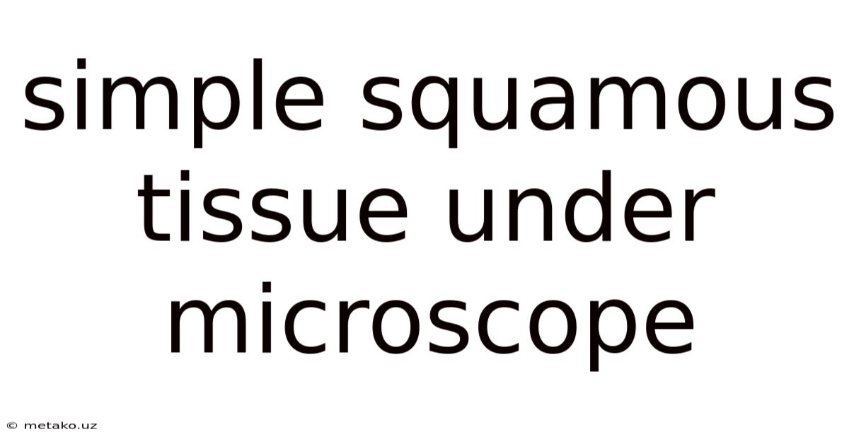 Simple Squamous Tissue Under Microscope