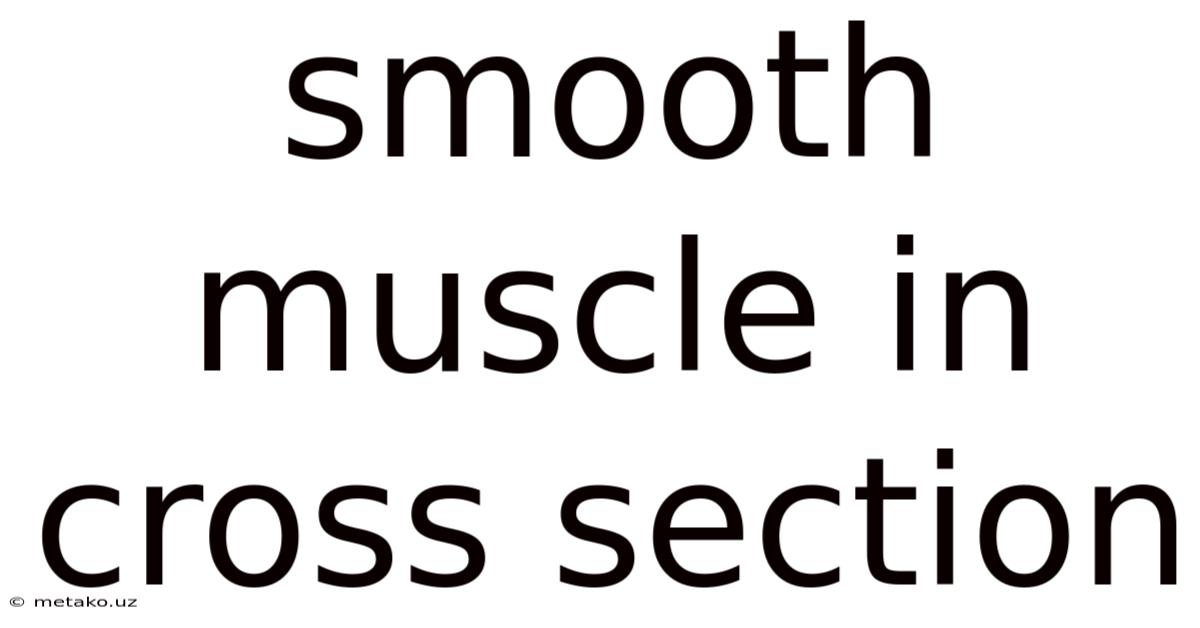 Smooth Muscle In Cross Section