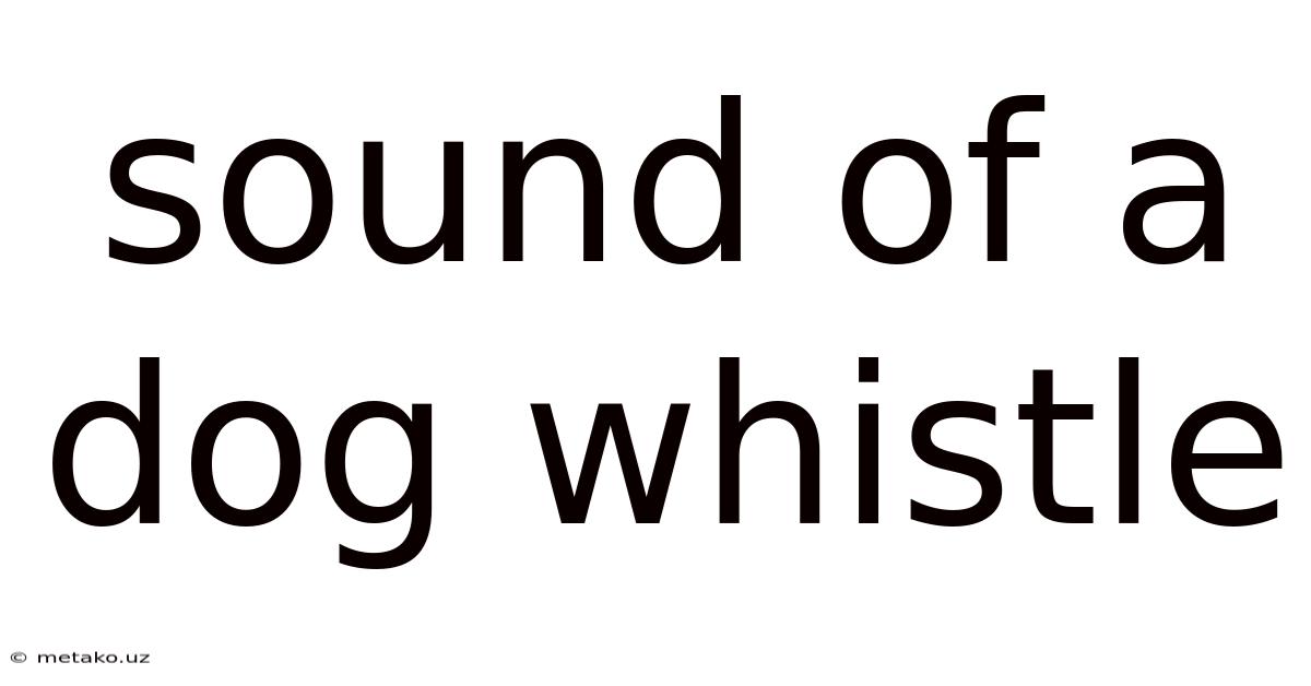 Sound Of A Dog Whistle