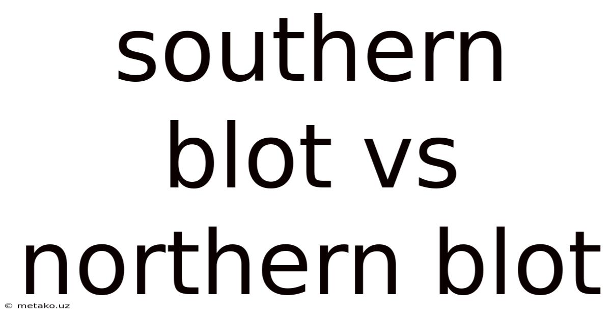 Southern Blot Vs Northern Blot