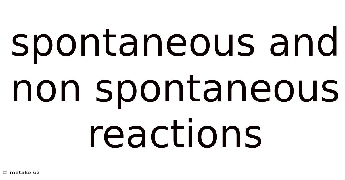 Spontaneous And Non Spontaneous Reactions