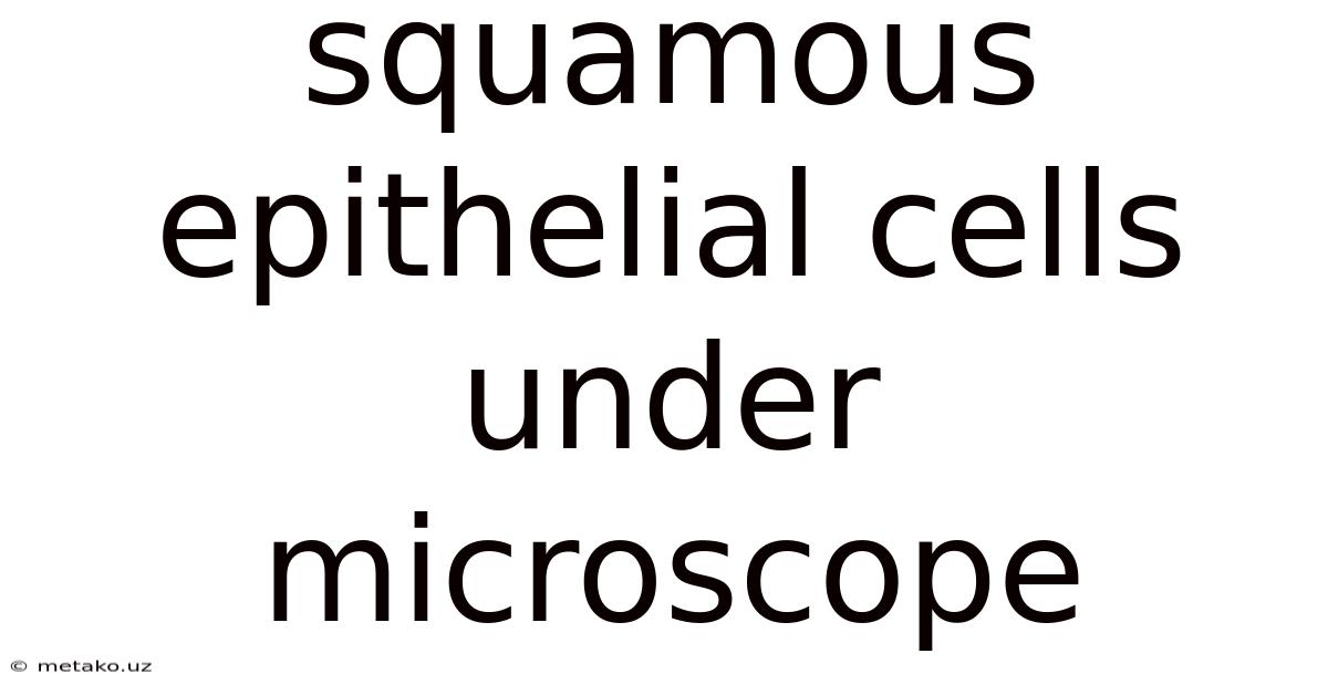 Squamous Epithelial Cells Under Microscope