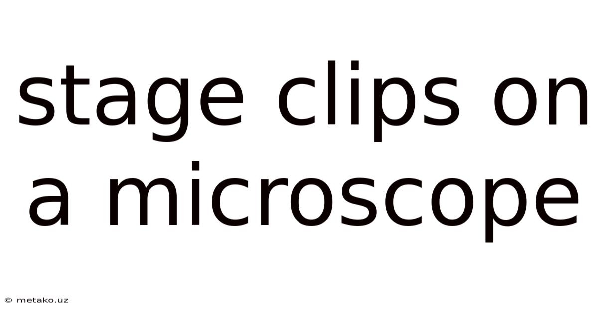 Stage Clips On A Microscope