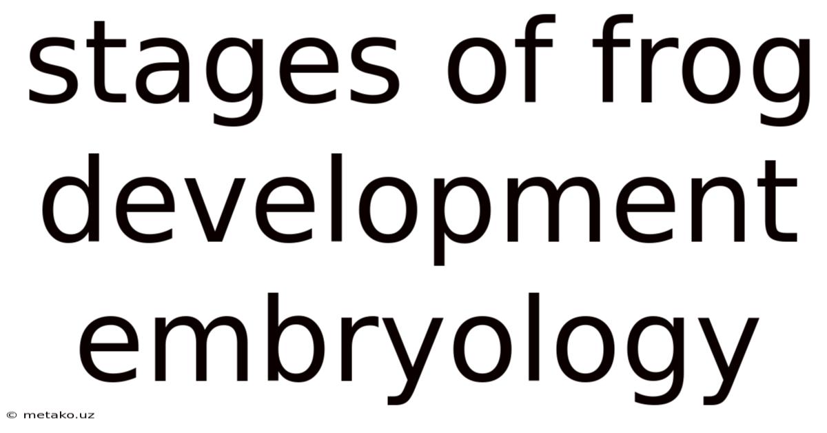 Stages Of Frog Development Embryology
