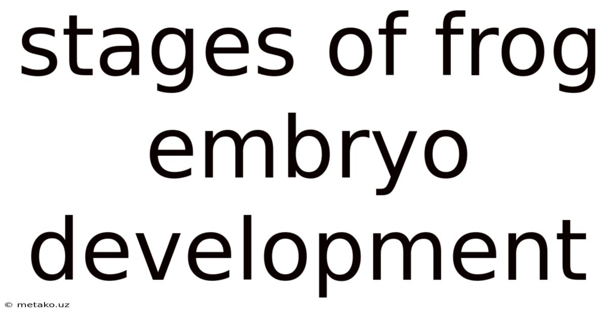 Stages Of Frog Embryo Development