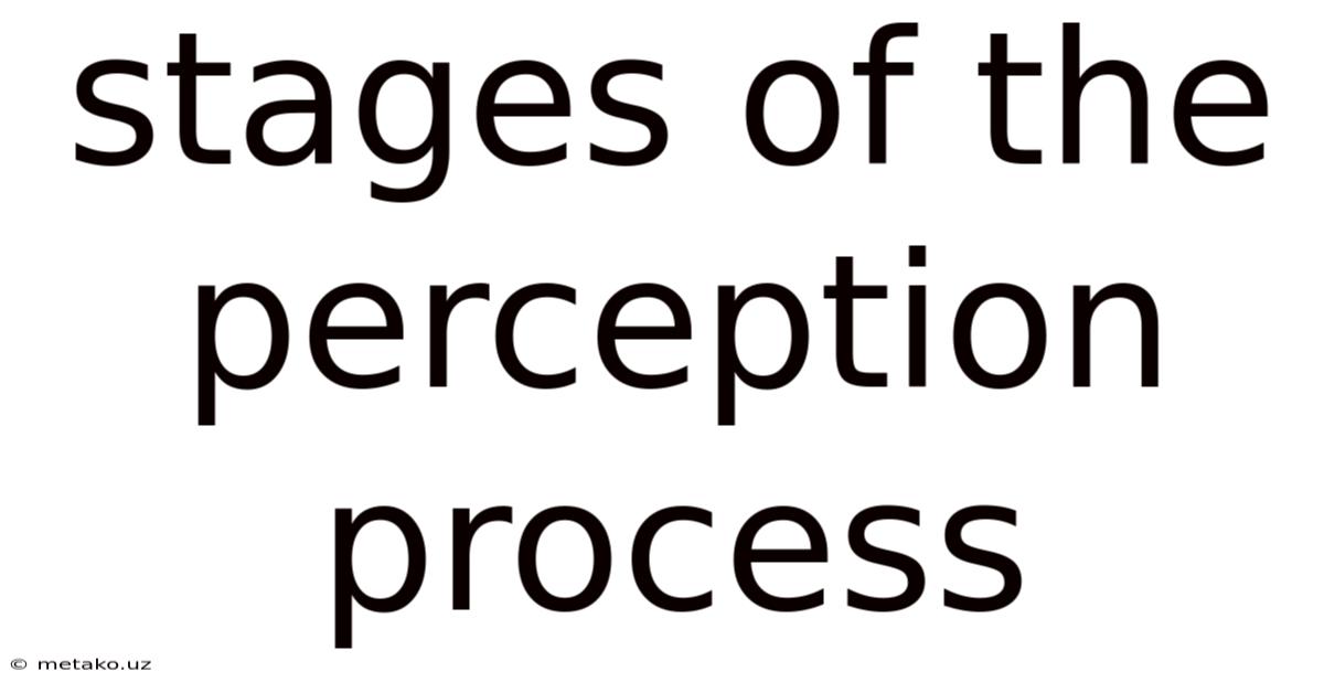 Stages Of The Perception Process