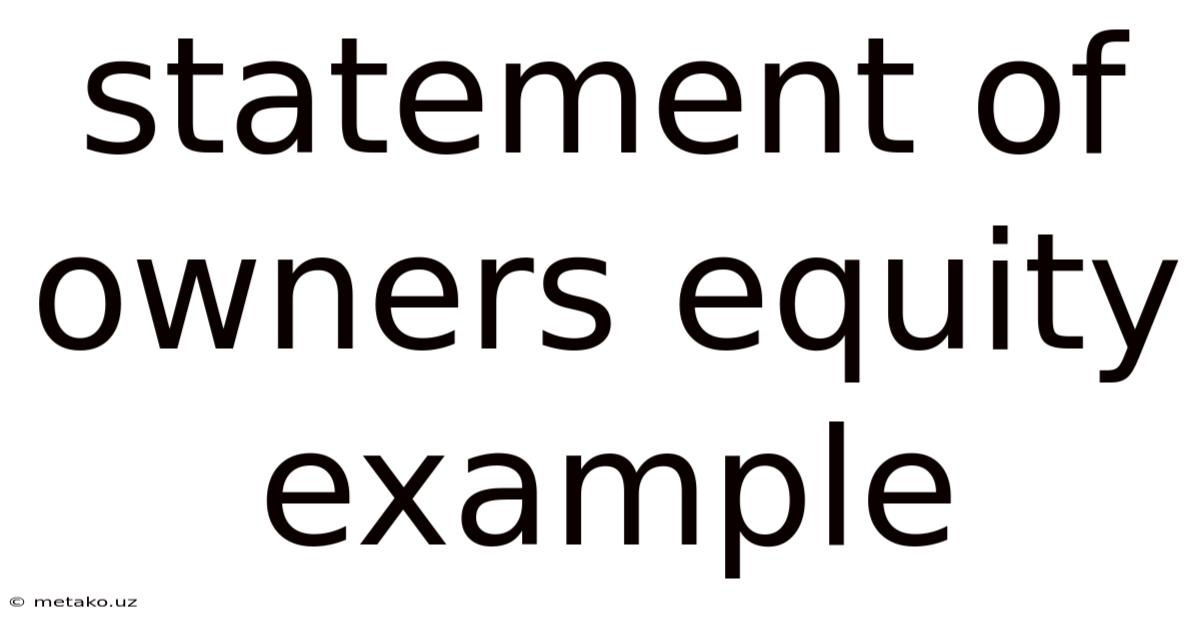 Statement Of Owners Equity Example