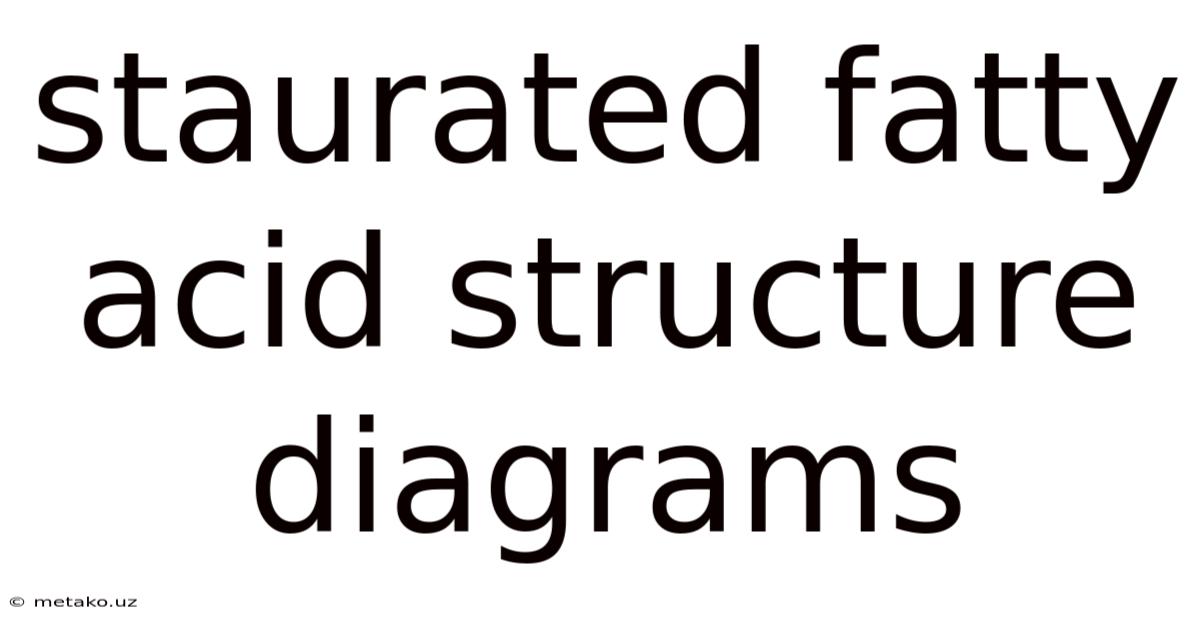 Staurated Fatty Acid Structure Diagrams
