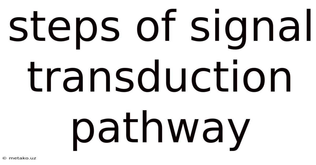 Steps Of Signal Transduction Pathway