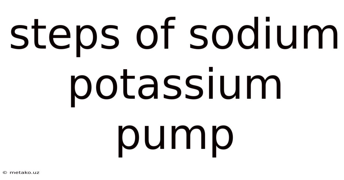 Steps Of Sodium Potassium Pump