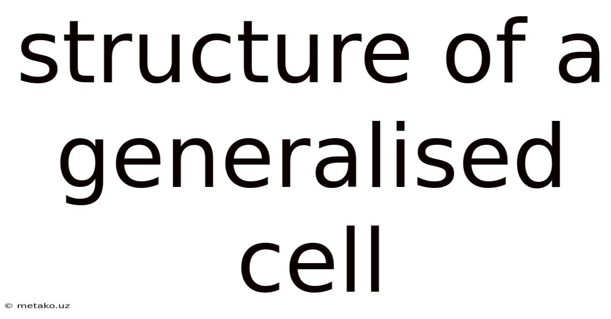 Structure Of A Generalised Cell