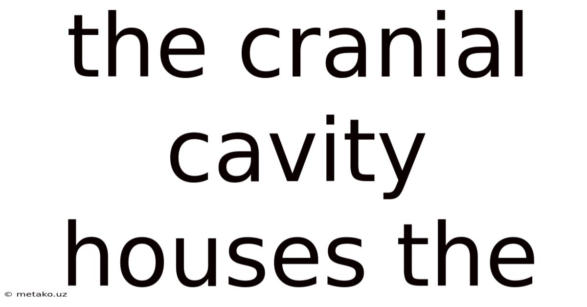 The Cranial Cavity Houses The