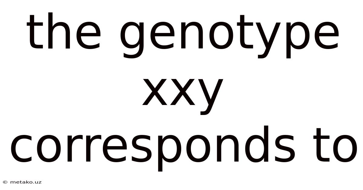 The Genotype Xxy Corresponds To