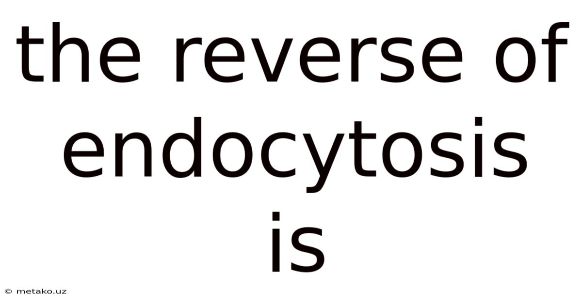 The Reverse Of Endocytosis Is