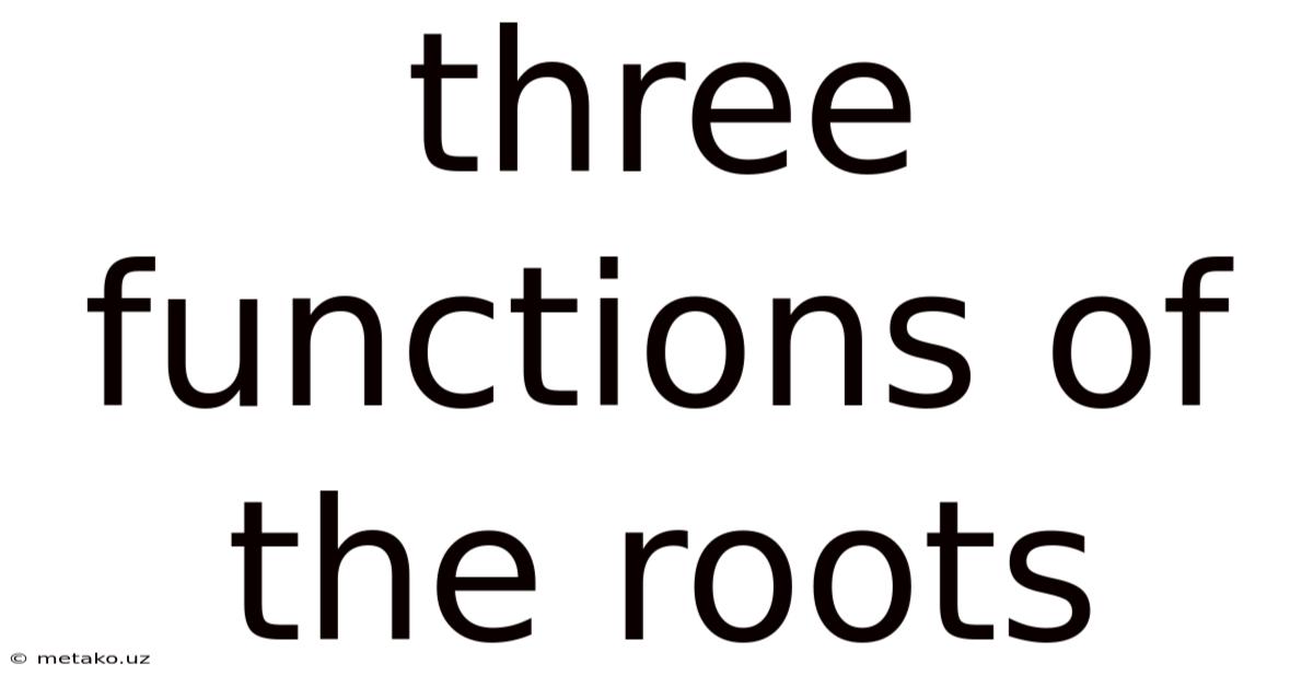 Three Functions Of The Roots