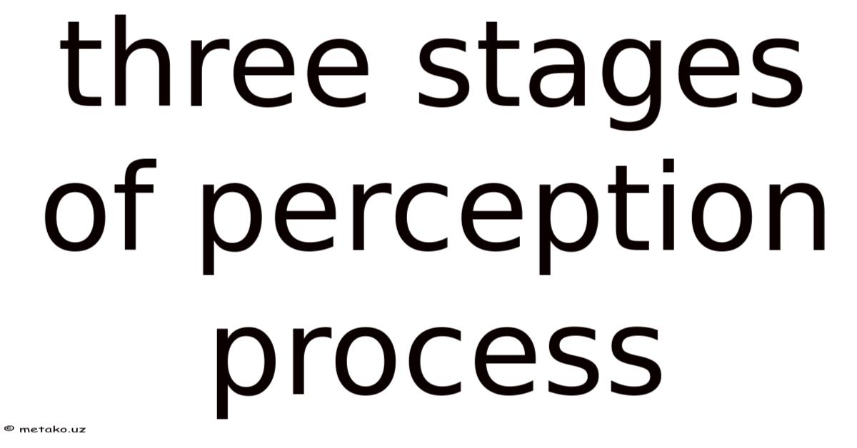 Three Stages Of Perception Process